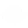 Logo ICSS